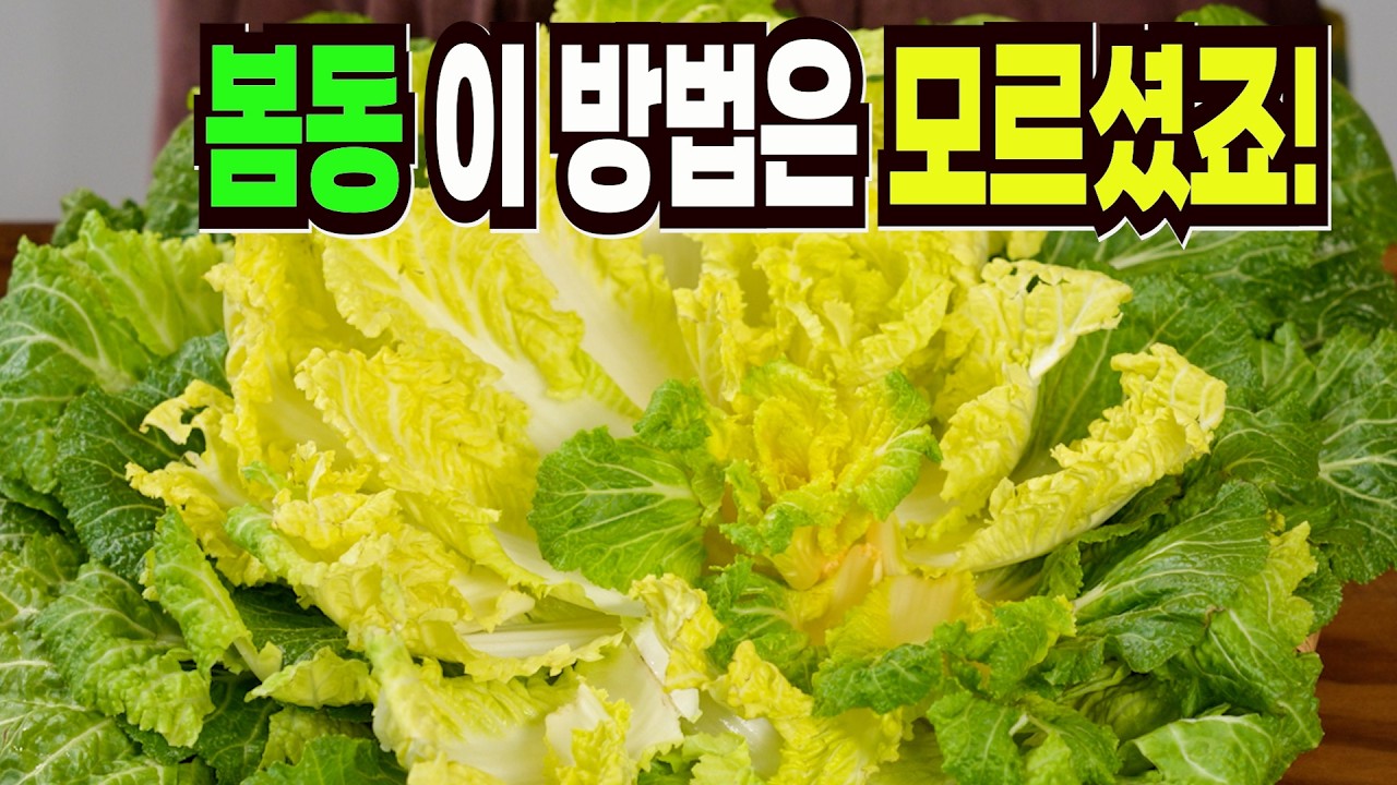 봄동 그냥 먹지 말고 이렇게 해보세요✔️ 이 방법은 요즘 없어서 못 먹습니다