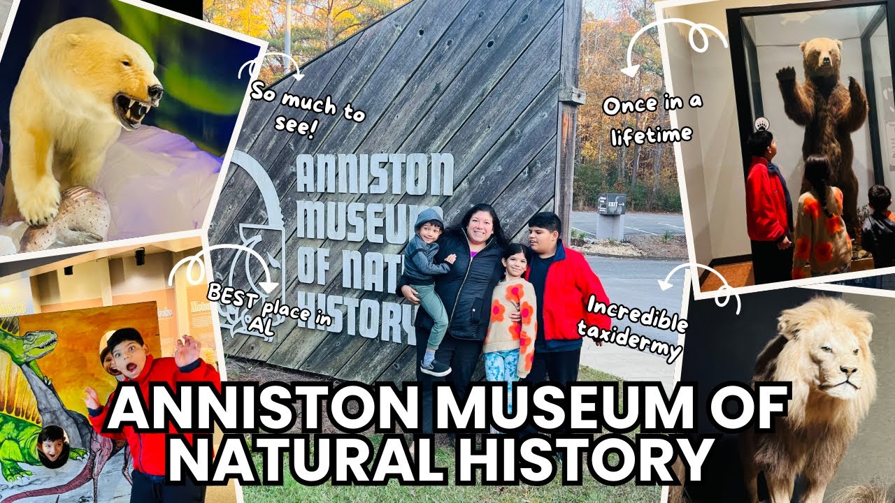 Anniston Museum of Natural History Tour | Hidden Gem in Alabama!