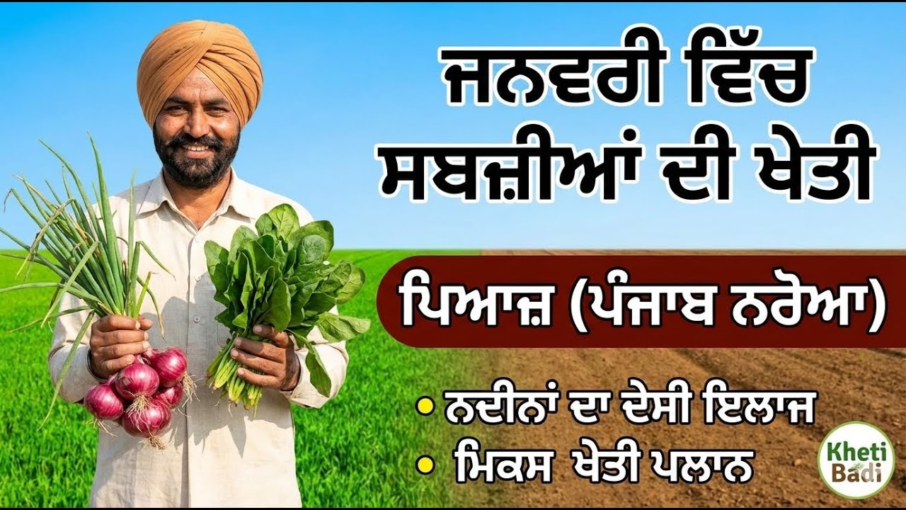 ਜਨਵਰੀ 'ਚ ਲਗਾਓ ਇਹ ਸਬਜ਼ੀਆਂ 🧅 | ਪਿਆਜ਼ ਦੀ 