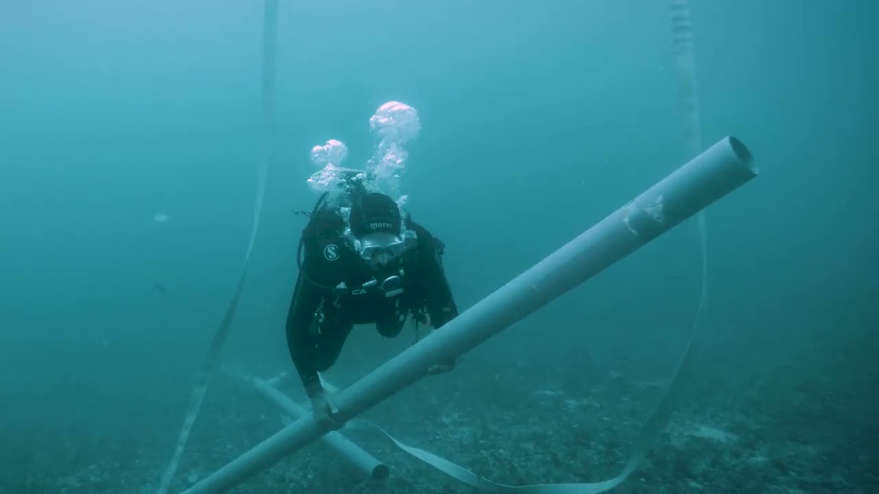 Submarinismo en Bah&iacute;a de Arrecife. Subt&iacute;tulos en espa&ntilde;ol