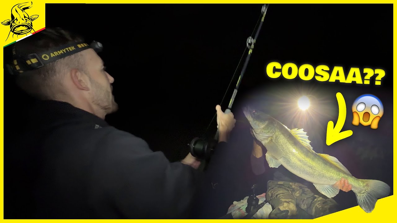 Questo pesce non doveva abboccare!  (Siluri a Break Line in fiume)