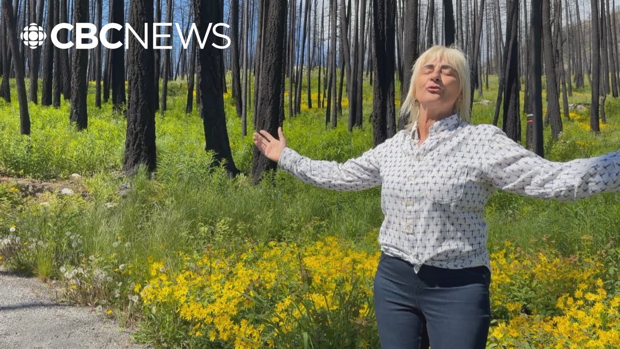 West Kelowna property blossoms with new life after devastating 2023 wildfire