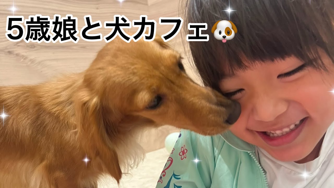 5歳娘と犬カフェで、ワンちゃん達ともふもふしてきた！🐶