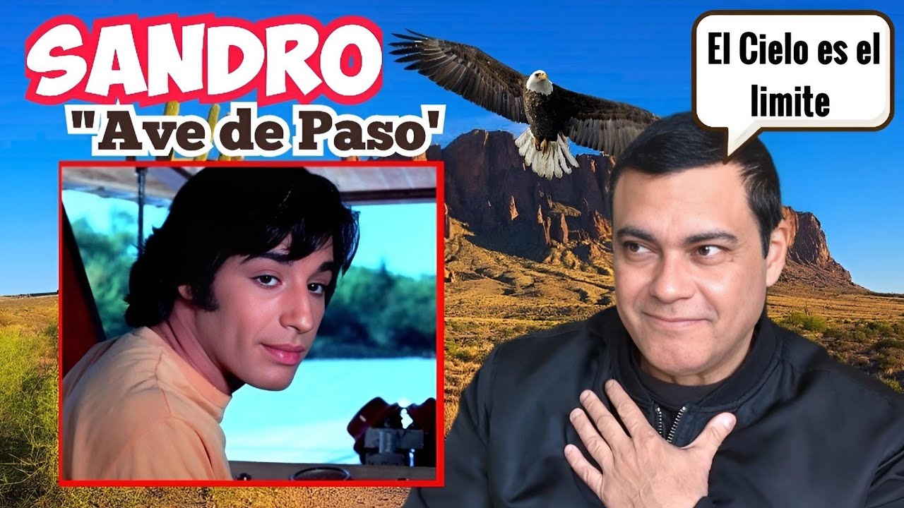 Sandro de America - Ave de Paso ( 1970 ) Reacción 