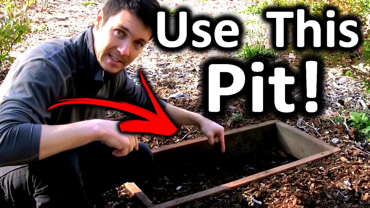 Overwintering Rooted Cuttings of Hydrangea (Part 3) | Storing Cuttings in a Pit