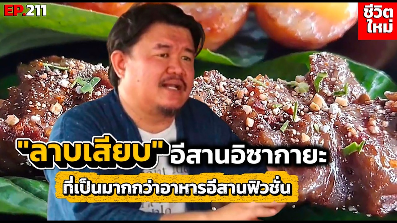 จากกระแสหมาล่าสู่ 