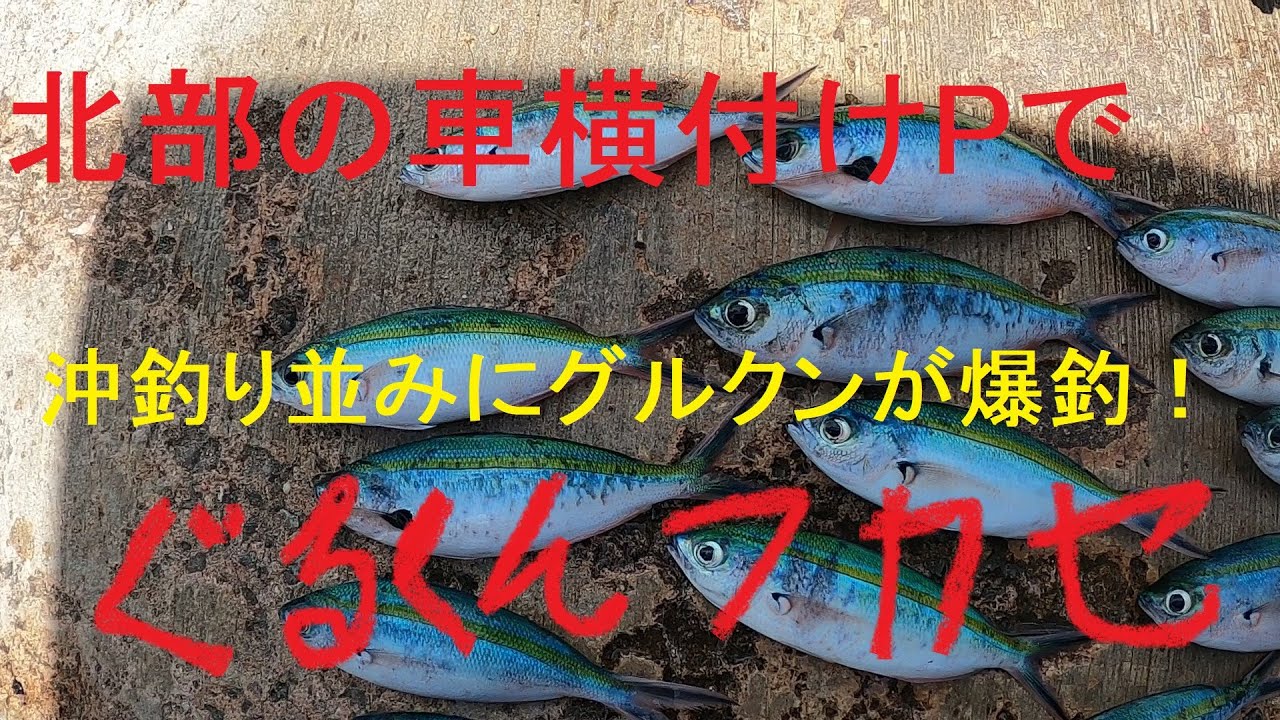 フカセでグルクンが大漁じゃ～！人気の車横付けポイントにて【沖縄釣り】