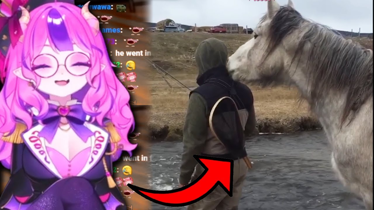 Реакция Ironmouse на ежедневную порцию домашних животных