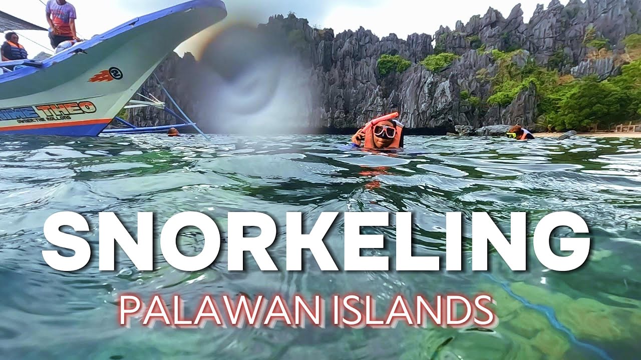 The BEST Snorkeling in the World?