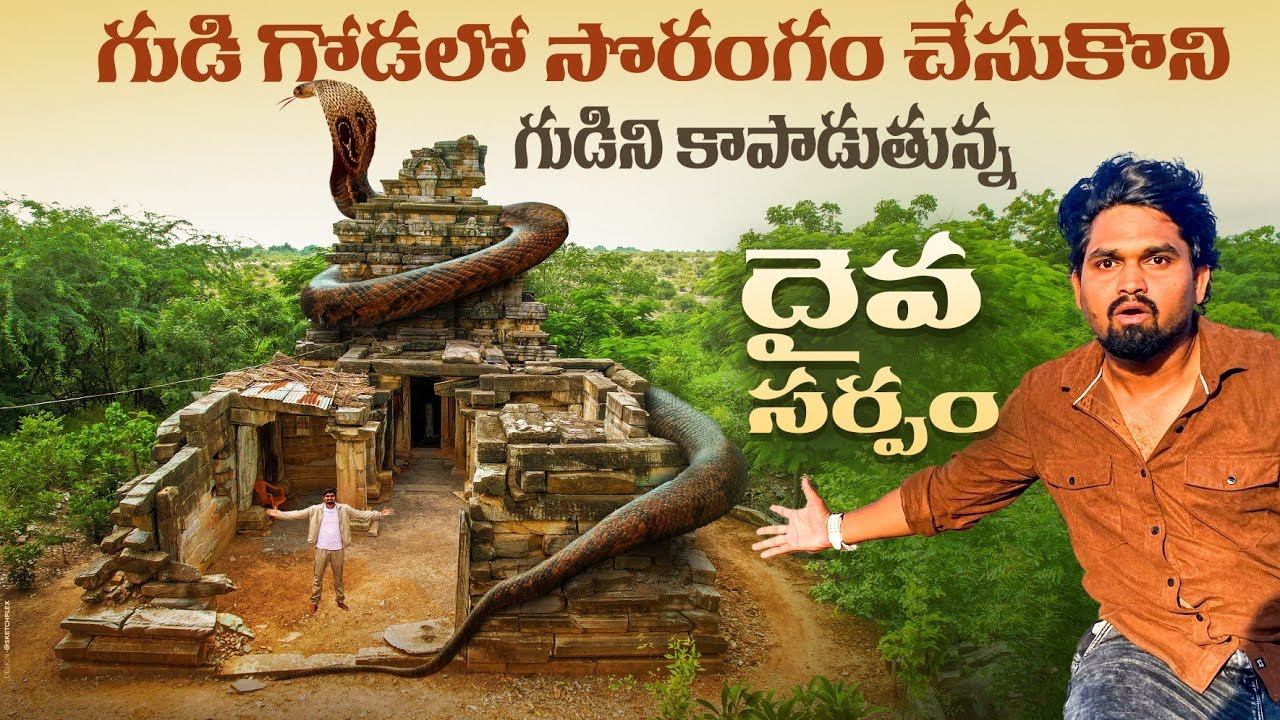 గుడి చుట్టూ సొరంగం | కాపలా ఉన్న పాము