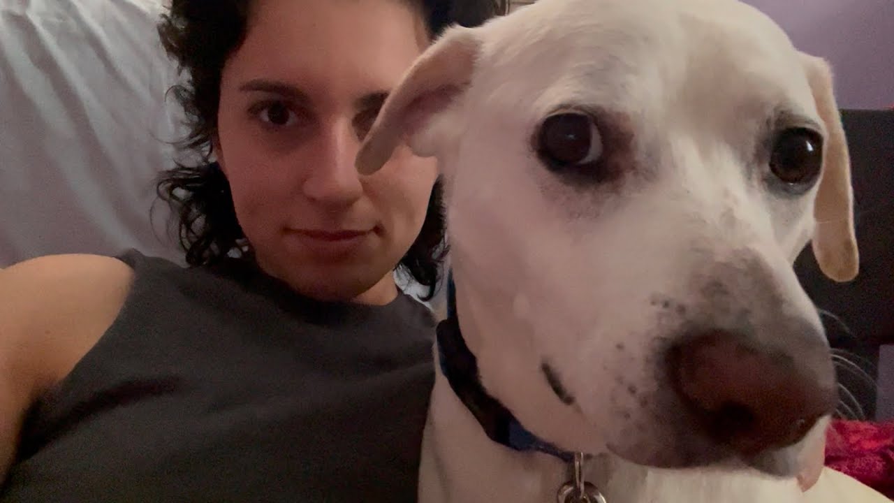 My Dog Lolo Tries ASMR