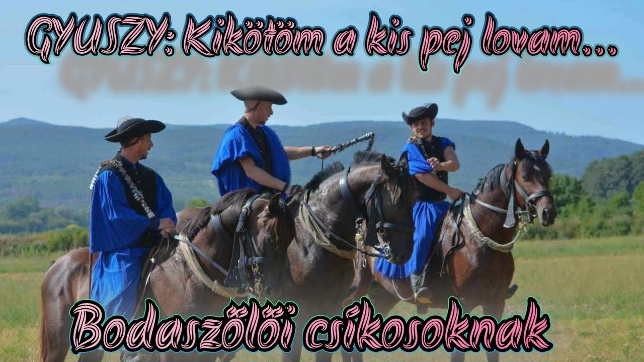 GYUSZY Kikötöm a kis pej lovam🐎🐎🐎Bodaszőlői csíkósoknak