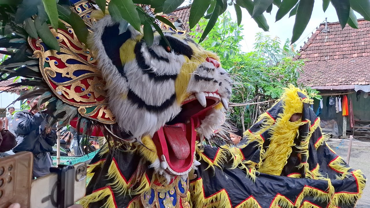 Live seru‼️barongan bocil wahyu satrio joyo
