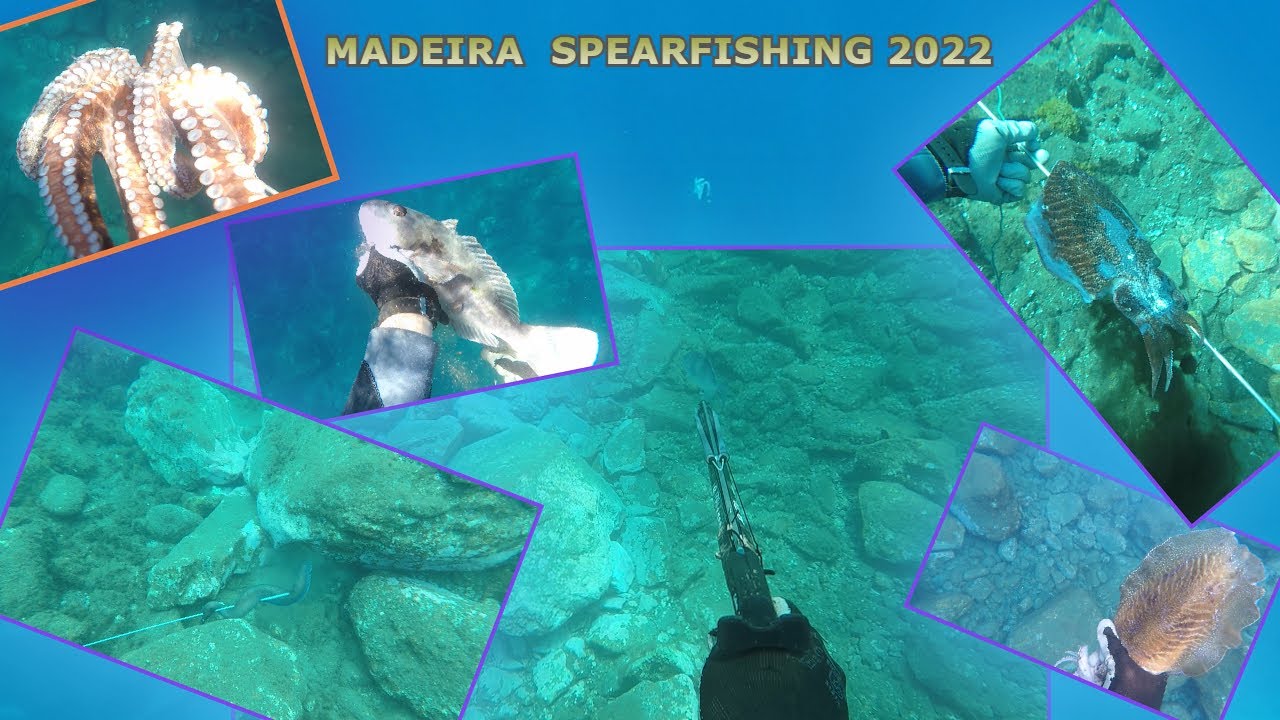 ILHA DA MADEIRA- CAÇA SUBMARINA/SPEARFISHING 2022