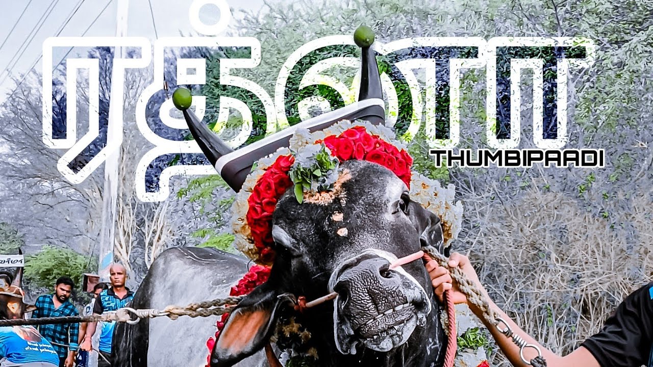 😍ரத்னா அழகு தோரணை 🥰🫀#Bharathi #kaaliyin #kadhalan #jallikattu #manjuvirattu #trendingshorts
