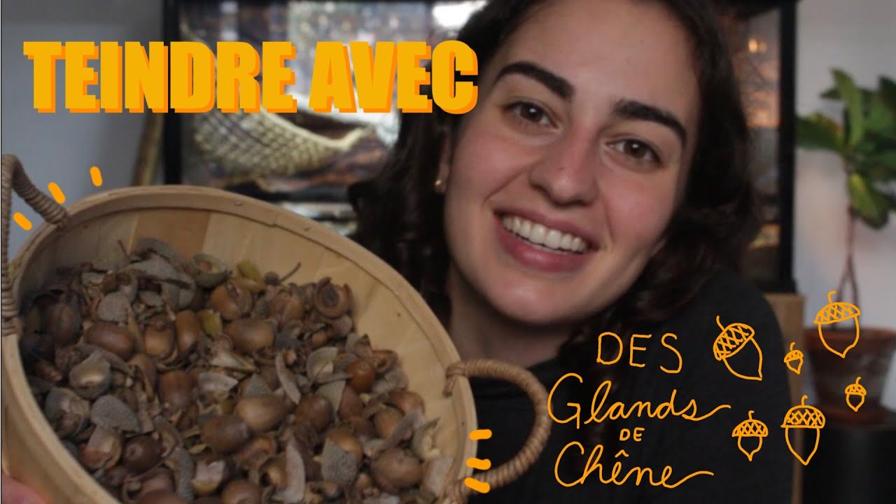 Teinture Naturelle: Glands de Chêne