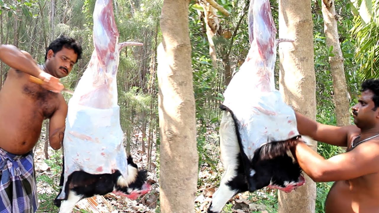 FULL  Goat Cutting  /  Mutton Cleaning Video   How to Remove Goat Skin