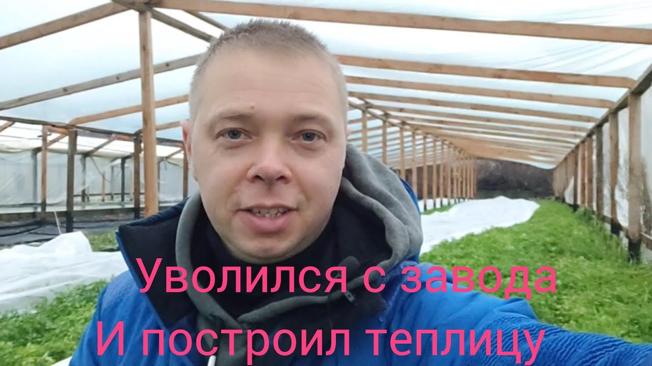 Простой парень уволился с завода и построил теплицу.$.  Готовим фаршированные баклажаны на рынок.$$$