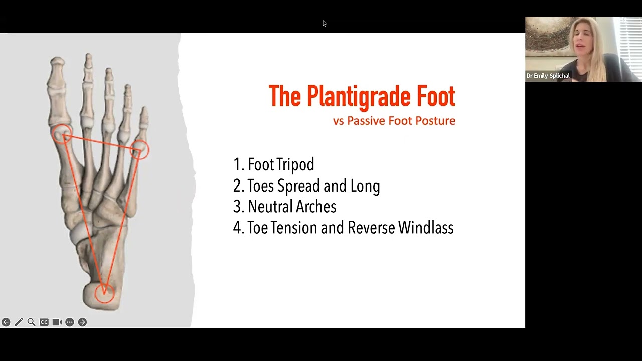 The Link Between Foot Posture, Locomotion and Longevity