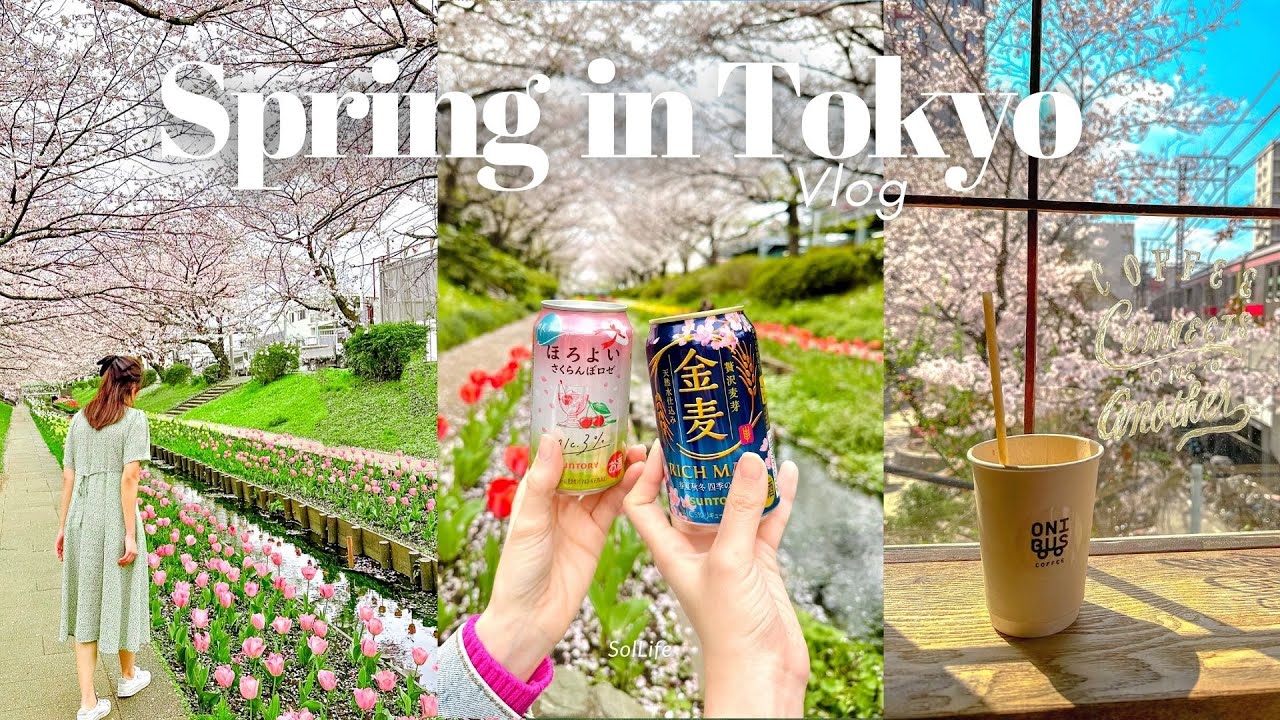 Sping in Tokyo 🌸 | Naka-meguro cherry blossom festival, hanami, spring cafe hopping |Tokyo Vlog