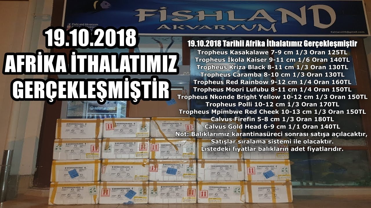 19.10.2018 TARİHLİ 2.AFRİKA İTHALATIMIZ GERÇEKLEŞMİŞTİR
