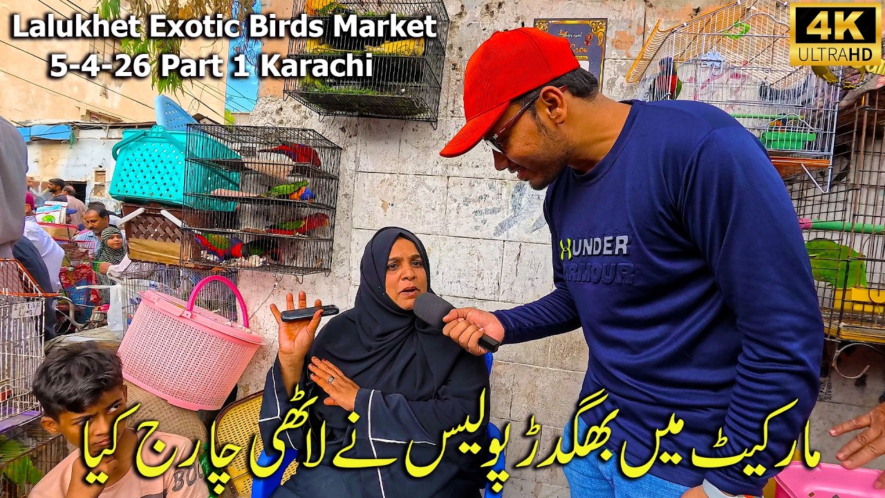 Lalukhet Exotic Birds Market 5-4-26 Part 1 Karachi | Hen and Rooster and Unique and Rare Birds