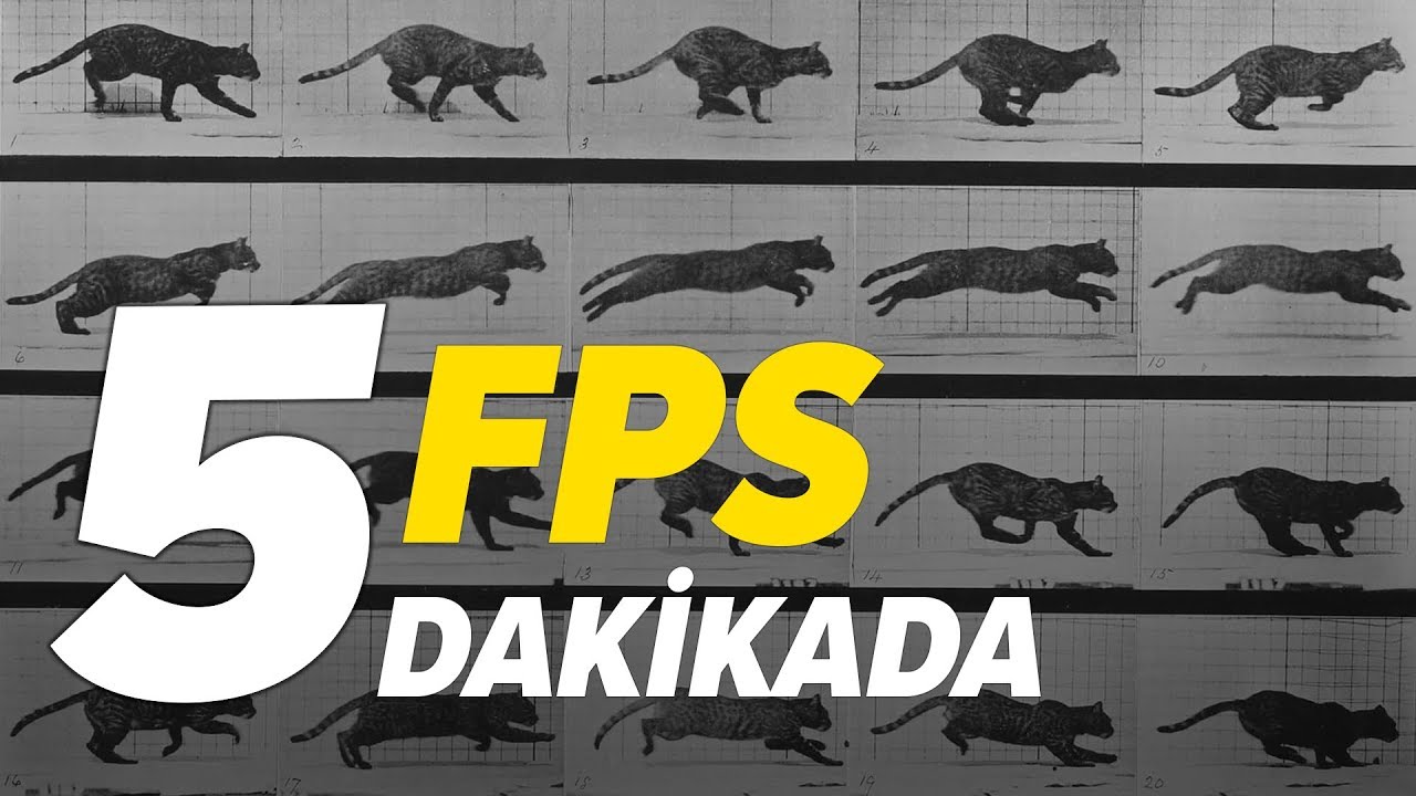 FPS (Frame Per Second) Nedir? | 5 Dakikada FPS