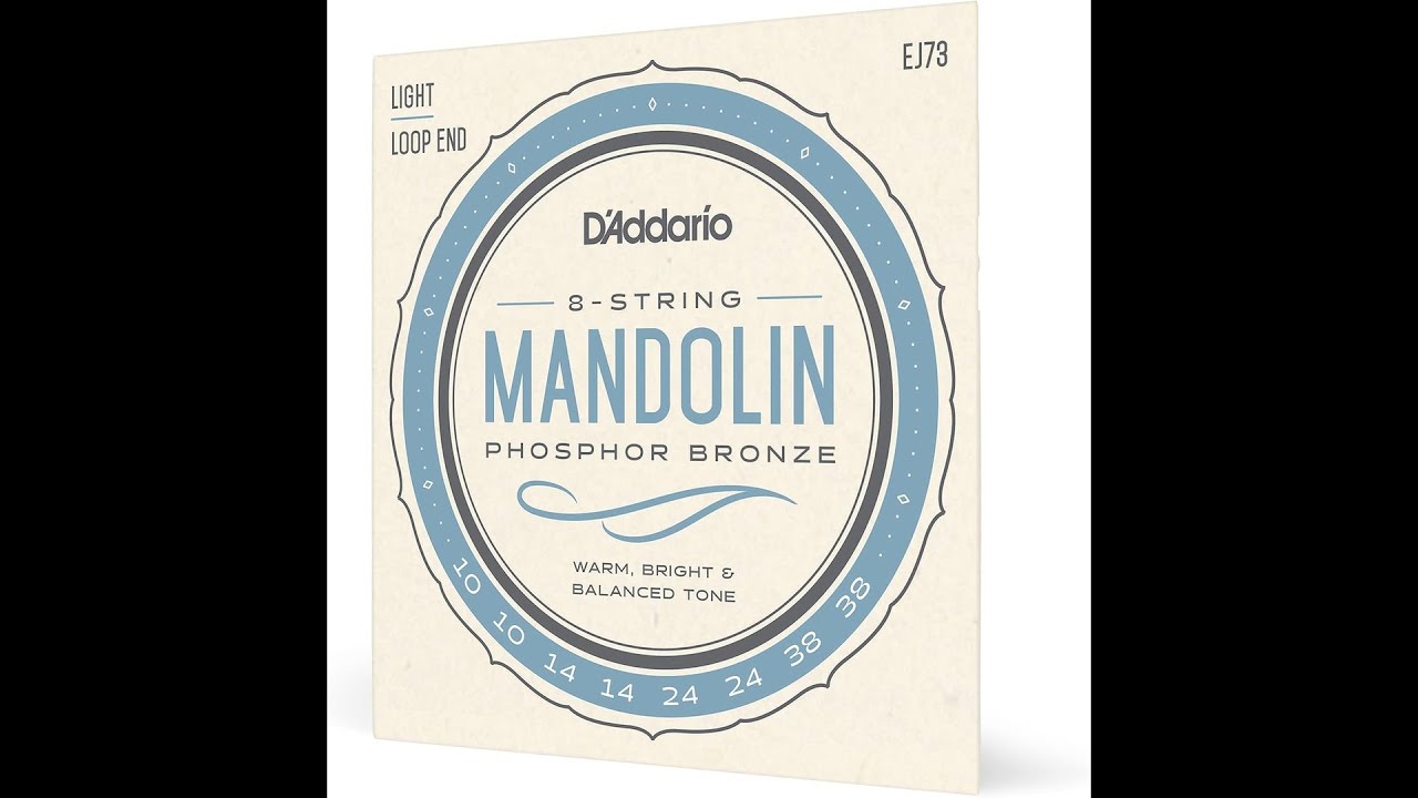 DAddario EJ73 Phosphor Bronze Mandolin Strings Review Light Gauge