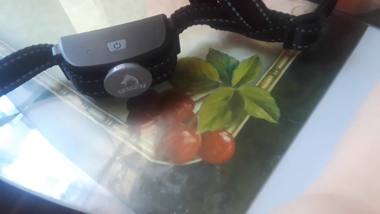 PATPET 301| Efficient and amazing dog training collar