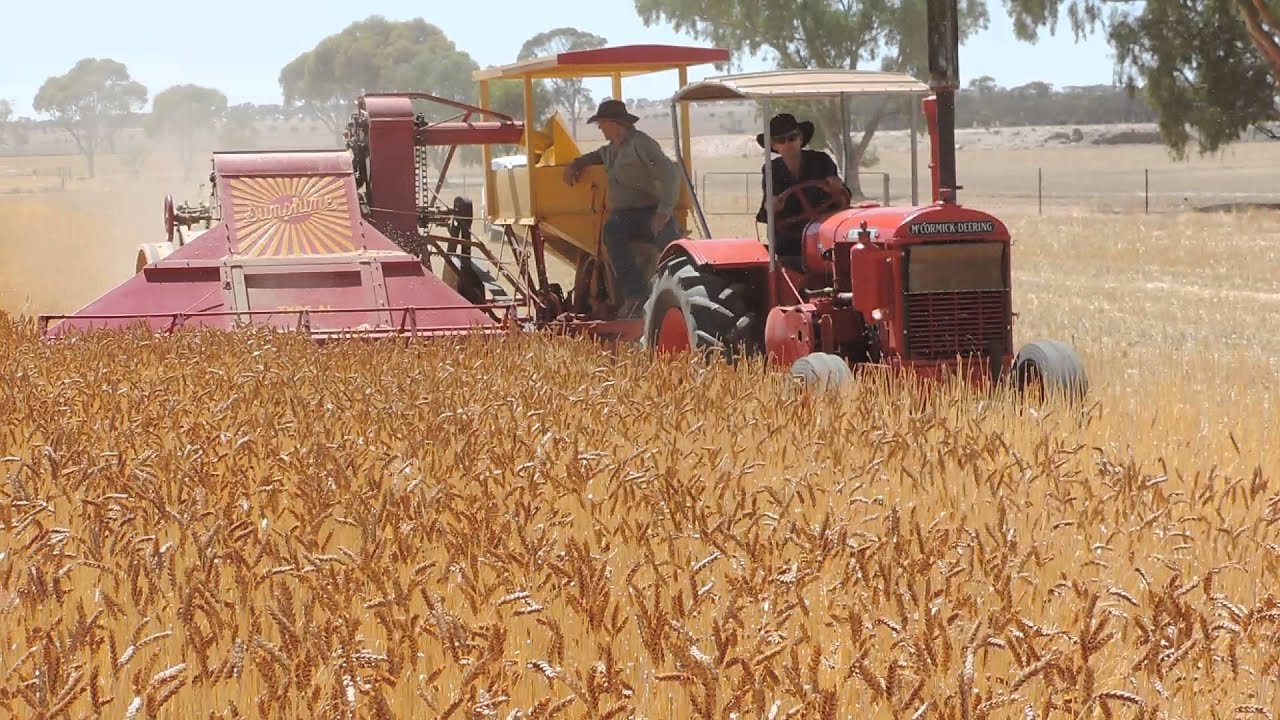 AL Harvester pulled by W30 McCormick Deering tractor