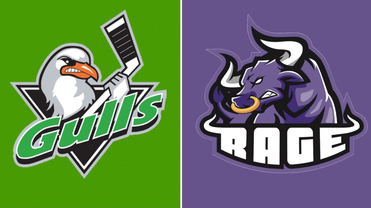 The Gulls vs Harbour Rage - U15 Major - 02/16/2026