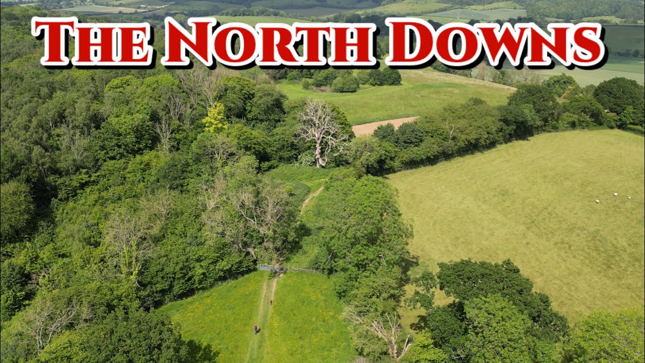 A Mindfulness Journey- A Way to FREEDOM