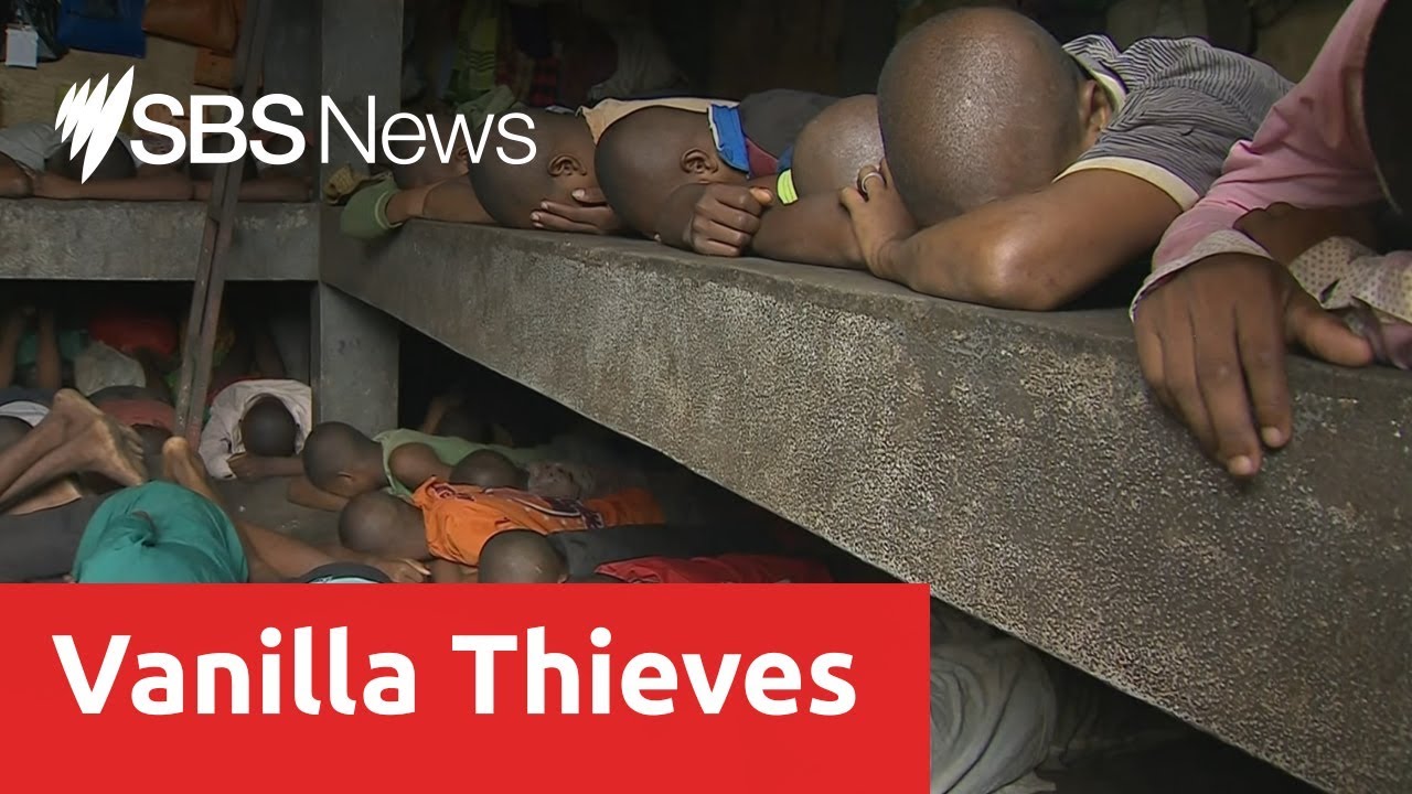 Madagascar's children prisoners convicted of stealing vanilla
