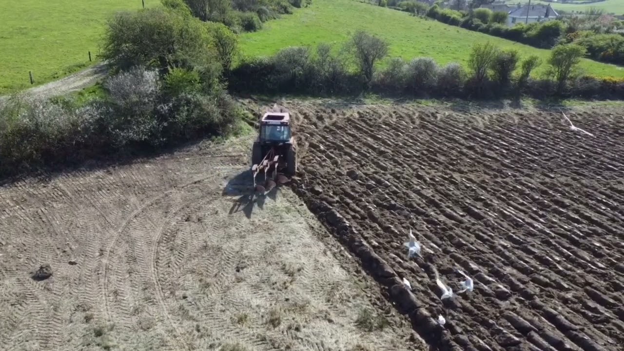 Case international 885 xl ploughing with 3 furrow kverneland plough.