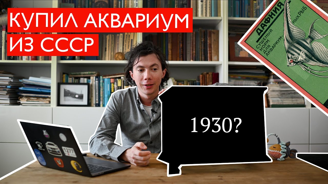 Купил советский аквариум / Дафния из 1920-х / Необычный Махлин