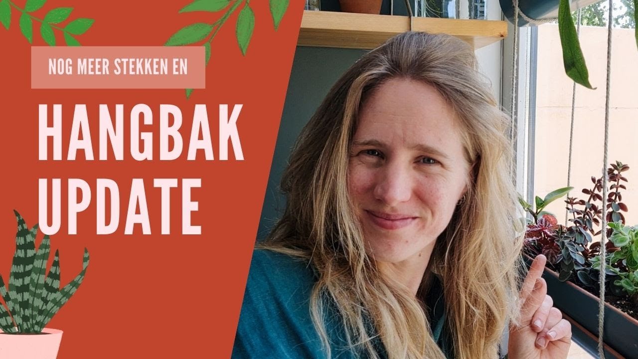 Hangbakken en peperomia stekjes UPDATE en nog meer stekken