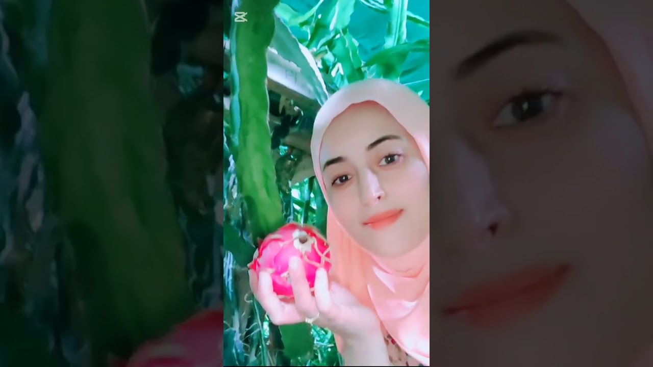 فَاكِهَةُ التِّنِّينِ | أُغْنِيَةُ حُلْمٍ وَحُبٍّ مِنَ الأَرْضِ إِلَى القَلْب 🌱🐉