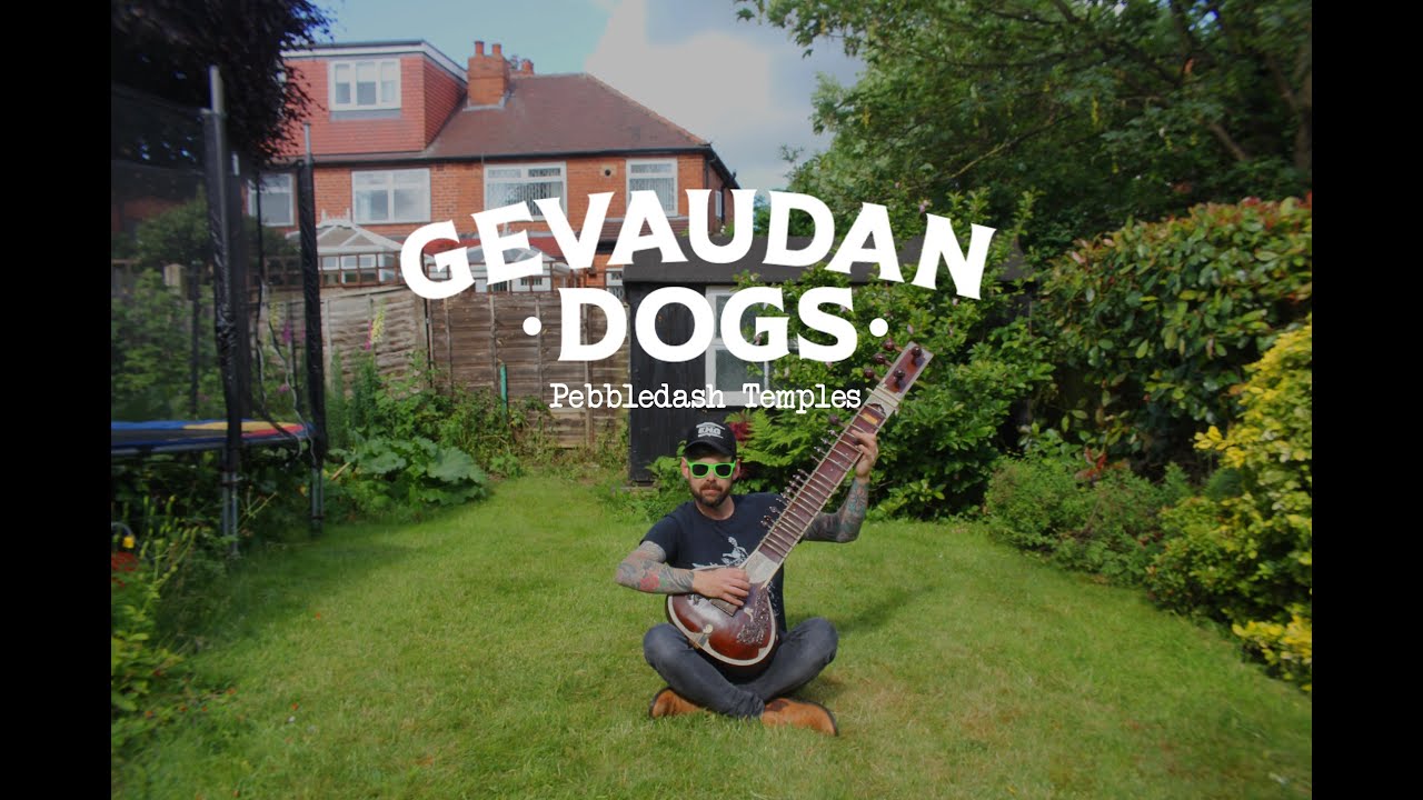 Gevaudan Dogs - Pebbledash Temples (OFFICIAL VIDEO)
