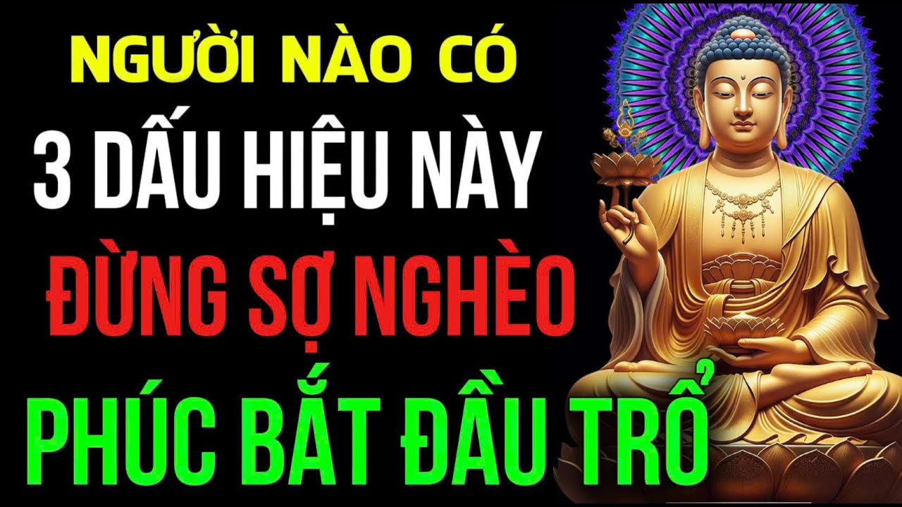 Ai Mang 3 Điều Này Đừng Sợ Nghèo, Trời Đã Định Cho Hậu Vận Tốt, Vận Đã Mở, Phúc Đang Trổ