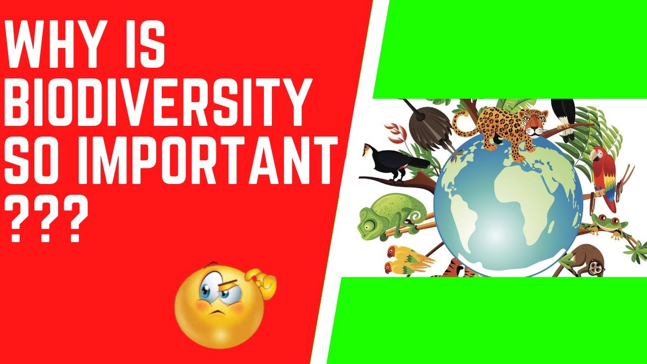 The Value & Importance of Biodiversity