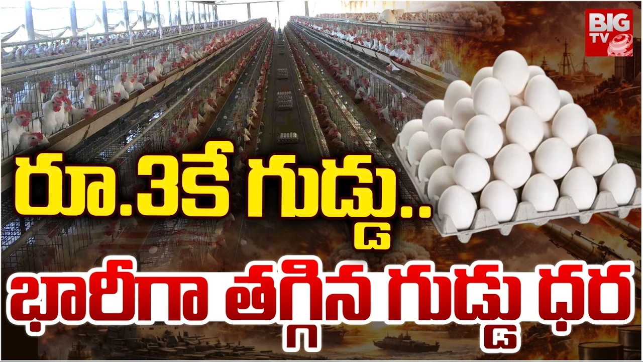 Egg Prices Crash రూ.3కే గుడ్డు.. | Middle East War Halts Indian Egg Exports | Iran Israel War |BIGTV