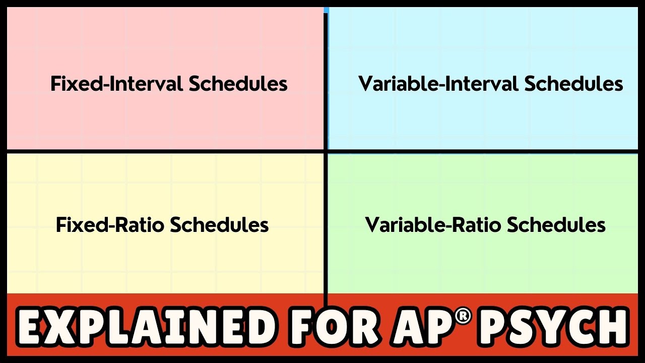 Reinforcement Schedules (AP Psychology)
