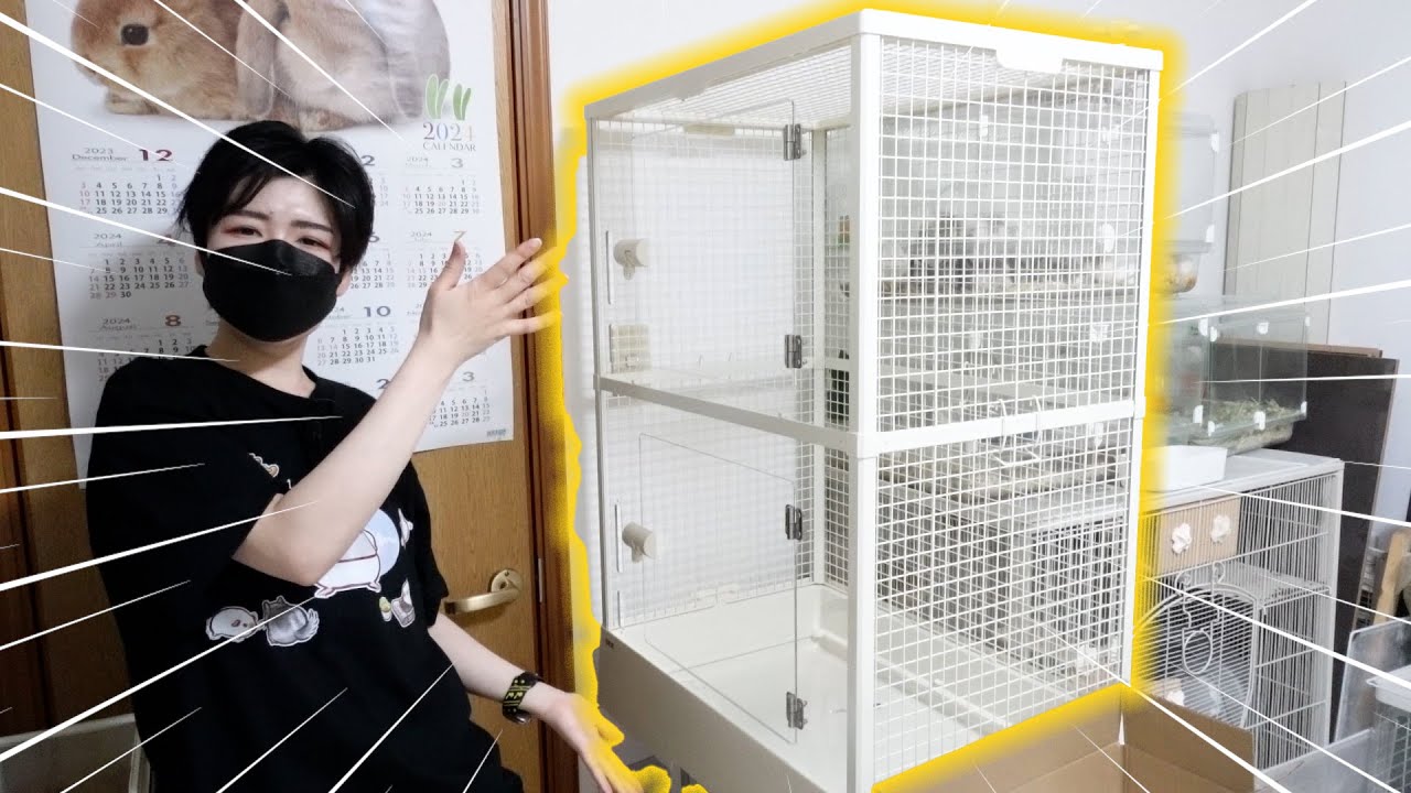 新発売！チンチラやデグーで使える「クリアフロント70High」を使ってみたら超良すぎた！