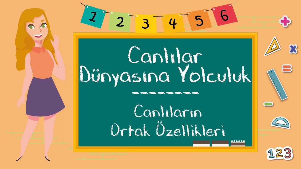 3. Sınıf -  Canlılar Dünyasına Yolculuk (Canlıların Ortak Özellikleri)