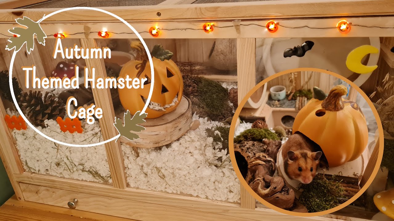 Autumn - Halloween Themed Hamster Cage | Part 1 Noodle's Cage 🍂