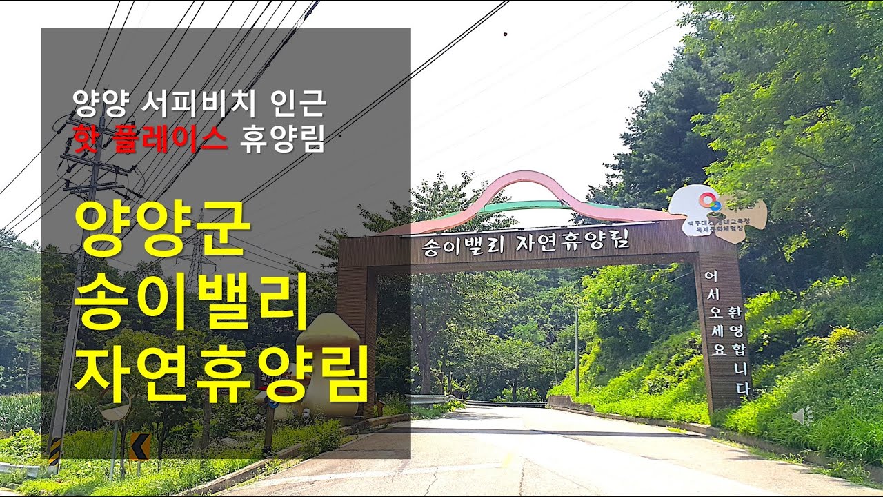 양양군 송이밸리자연휴양림 소개