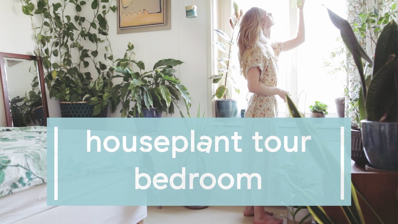 Houseplant Tour Summer 2018 - Bedroom 🌿