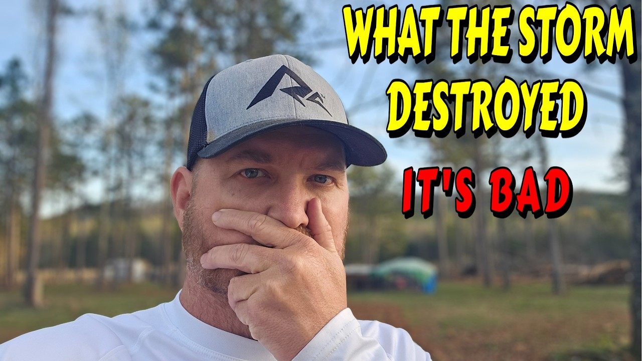 TIME TO TELL YOU WHAT GOT DESTROYED |tiny house homesteading off-grid cabin build DIY HOW TO sawmill
