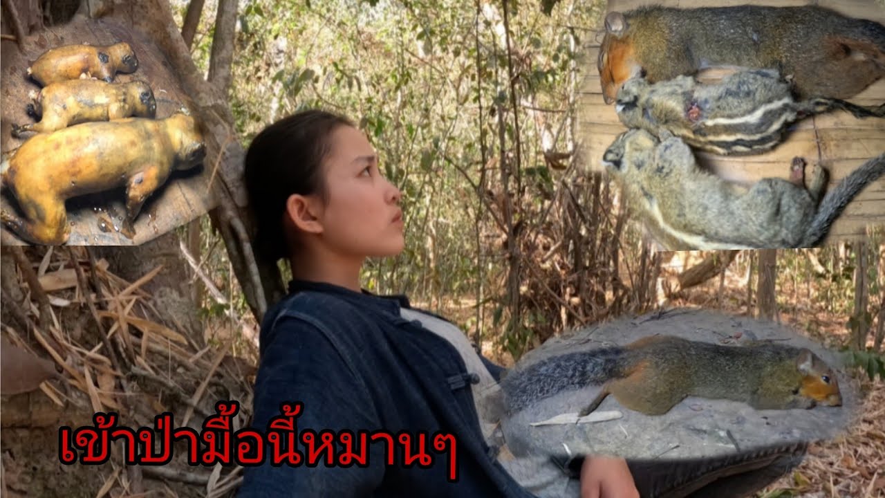 เข้าป่าหมานๆพี่น้อง/ເຂົ້າປ່າມື້ນີ້ຫມານໆ13 กุมภาพันธ์ ค.ศ. 2026