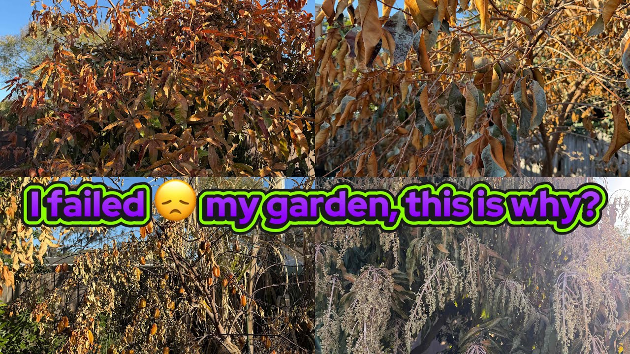 I failed my garden, this is why? Uncovering the truth of my mistakes. #garden #fruit #fruittrees 